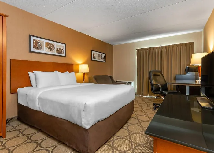 Family Hotel: Comfort Inn South