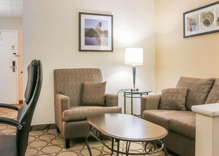 Family Hotel: Comfort Inn South